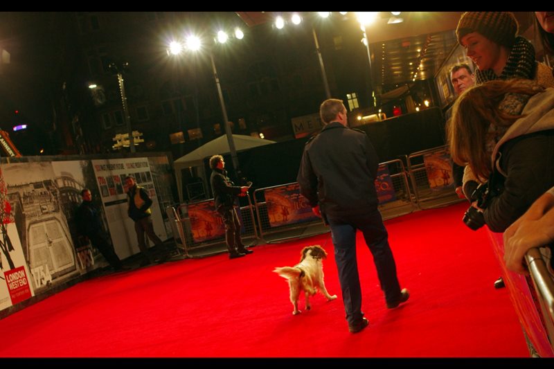 Sniffer dogs are unusual premieres, however this is a Royal Screening coupled with a Premiere, so precautions have to be taken. Oddly these precautions do not involve turfing out irritating and rowdy autograph dealers and people who haven't showered in the past 96 hours.