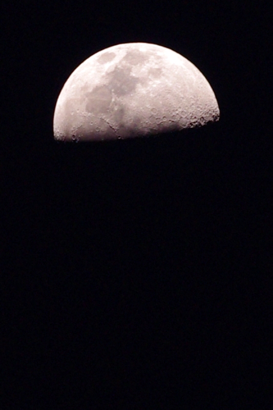 That's the Moon, not Mars. My lens isn't THAT powerful (and the red tinge is courtesy of a slight tint in photoshop, not pollution or global warming)