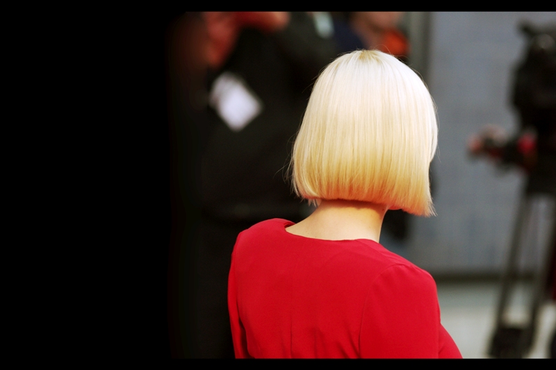 This is the back of the head of Actress Anna Faris, who stars in this movie, as well as providing a voice for 'Cloudy With A Chance Of Meatballs' which I watched in German and thus didn't get to hear her perform in. Sadly, Megan Fox (who plays herself in The Dictator) did not attend the premiere