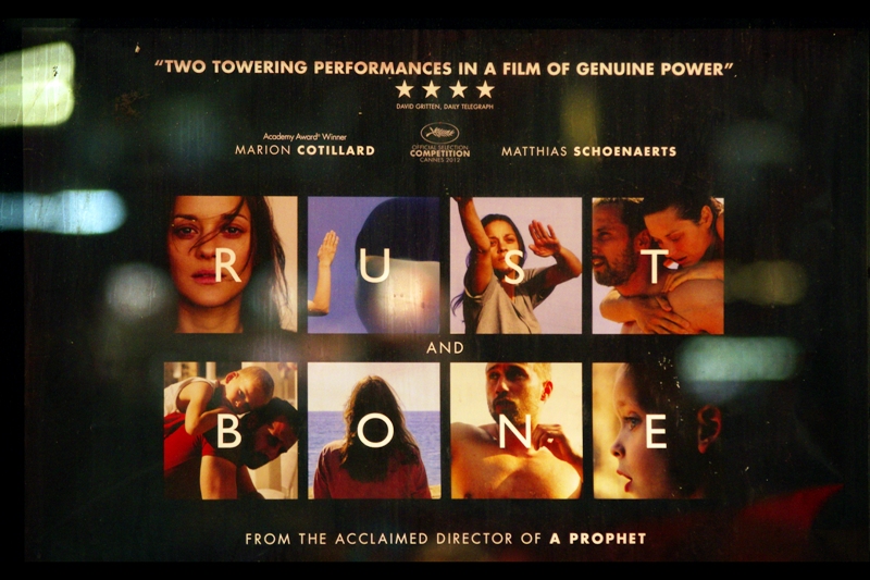 'Rust and Bone' and 'Ginger and Rosa' on the same day? Well, call me "Excited and Right Here"