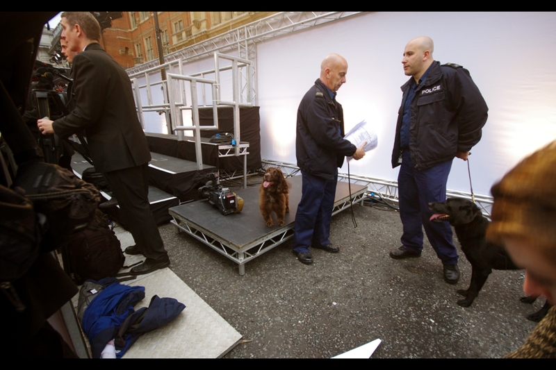 And it's a Royal Premiere. That means they bring the dogs, who have disarmingly cute smiles and friendly personalities. And can probably smell printer cartridge dust on you and are trained to kill first and search the body afterwards.