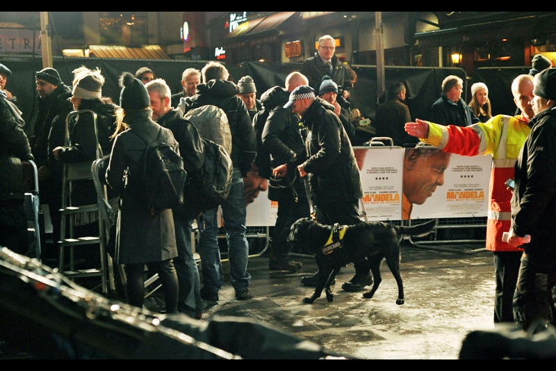 This being a royal premiere, security was much tighter than usual - police, high-viz security, discreet-tuxedoed security, actual agents, plus the royals' own retinue AND a sniffer dog. It's not like you can even attempt to get close to Johnny Depp or Tom Cruise at a regular premiere, but at a Royal premiere I guess it's probably best to avoid even making casual eye-contact with VIPs.