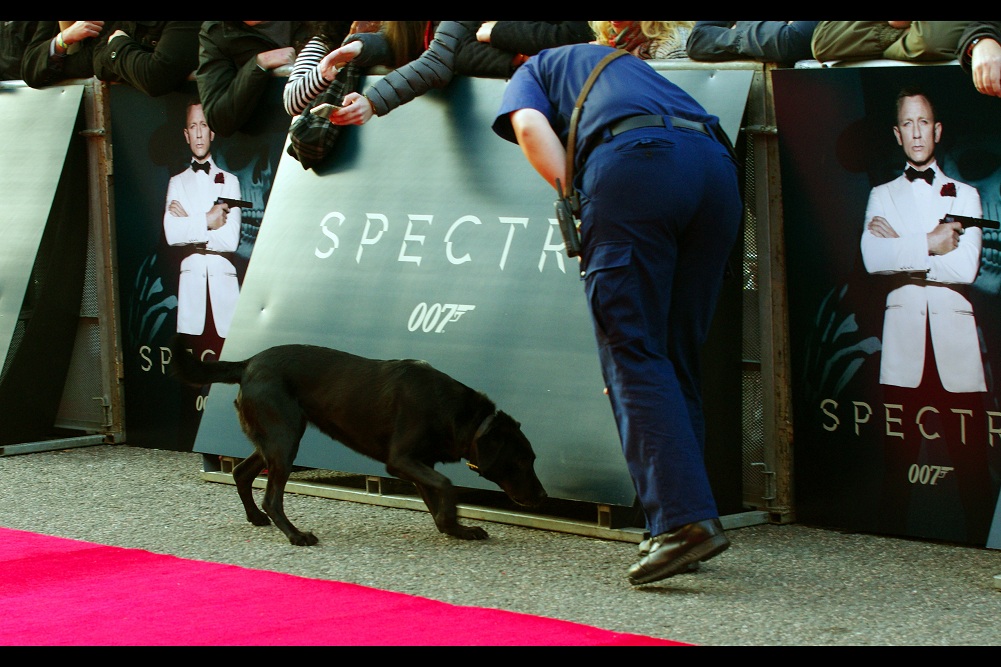 A few hours earlier... sniffer dogs on the red carpet. Security for a royal visit tends to be high. I even got pleasantly chatted to by one of the royal security guards... probably because almost nobody knows that Pentax is a real brand of camera and he felt it looked highly suspicious. Even (or especially) with a Nikon alongside it....