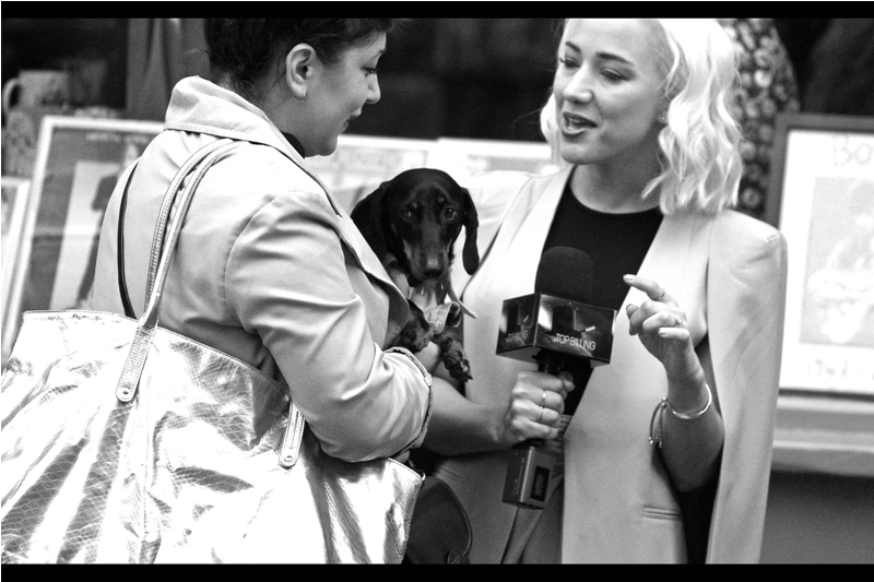 "These humans are crazy"