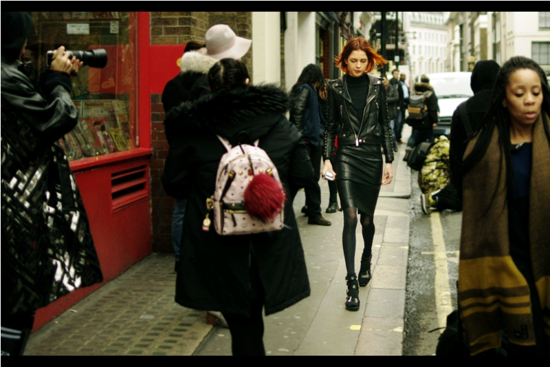 "I'm too cool to stop for anyone, I'm too cool to look at anyone... but please don't stop photographing me!!"
