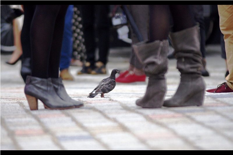London Fashion Week. It’s so on right now.