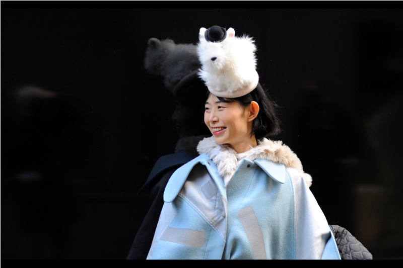 "I've got a WHAT on my head?" Actually, I prefer to think of it as the dog having a human to carry him around...