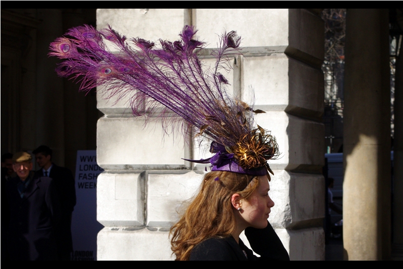 "That bird was the last of its kind and it died horribly. We'll probably throw the hat out after London Fashion Week ends, though... we can't really find a hat box that'll fit it"