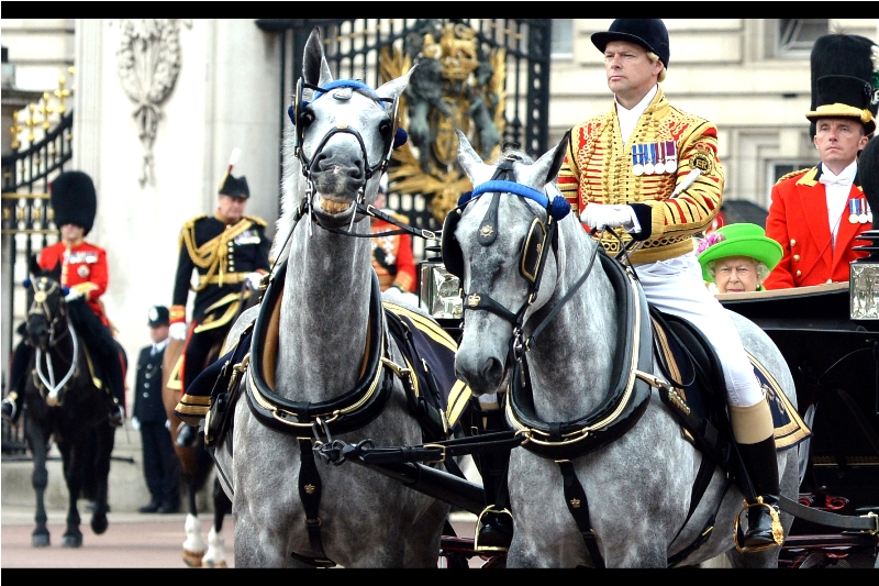 It's a horse! and another horse! And the Queen wearing (subtle) nuclear green! at Trooping The Colour 2016