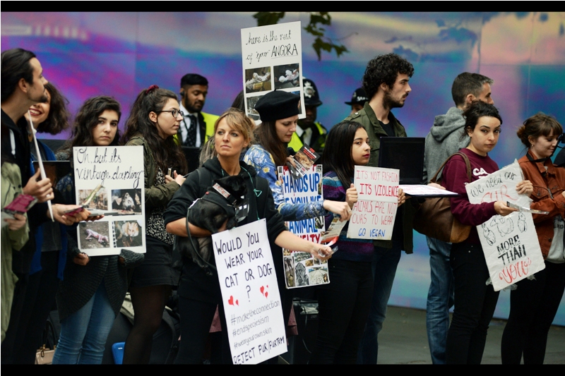 Yes, fur is murder, but I saw no models wearing fur. Yes, torturing animals is bad but near as I could tell nobody was actually wearing a cat or dog. As for going Vegan (as per the girl's sign)? Veganism is one issue, animal torture is another. I for one think lions are wonderful, but I don't begrudge them hunting down antelope when they're hungry.