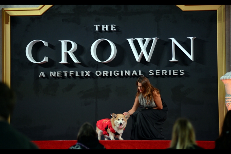 "You look cute, but leave a mess on this carpet and nobody will be pleased..." - awww... somebody brought a corgi!