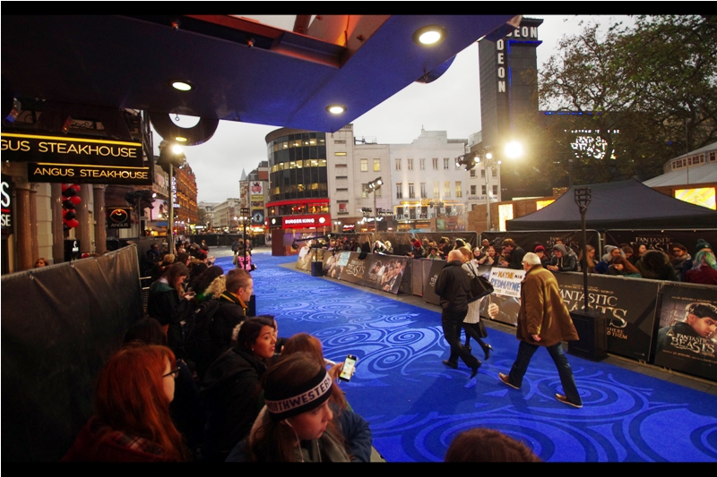 This is the view to my left. But more crucially the spot I've chosen is pretty much the only one that's actually undercover on the off-chance it rains. On the one hand, rain has not been forecast. On the other.... it's rained at or before every Harry Potter premiere ever.