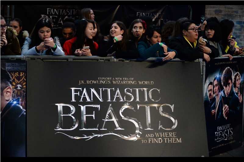 I'm pretty sure the fantastic beasts won't be that hard to find - your favourite local toy store, online retailer or merchandise point will no doubt be able to assist.
