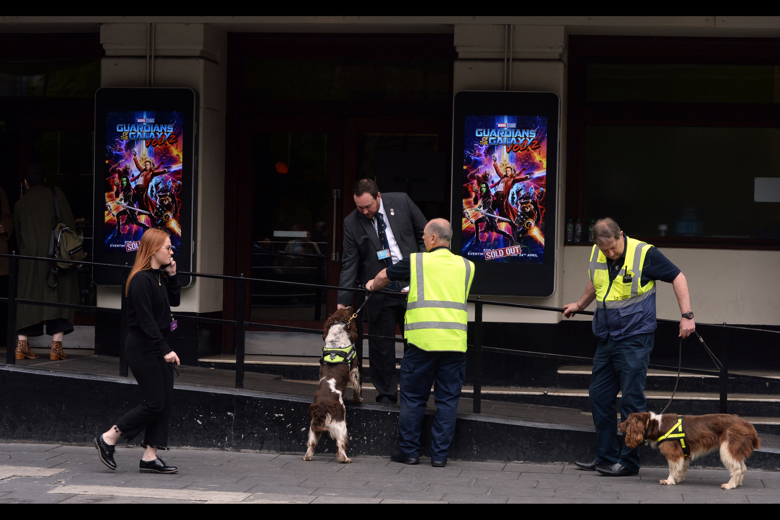 "The sniffer dogs? A diversion." Either that, or Disney mistrusts event ticketholders even less than fans.