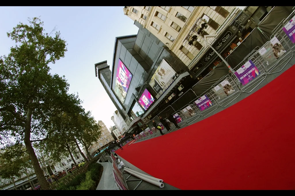 A crisp new red carpet, and for the moment I have a front row spot upon it.