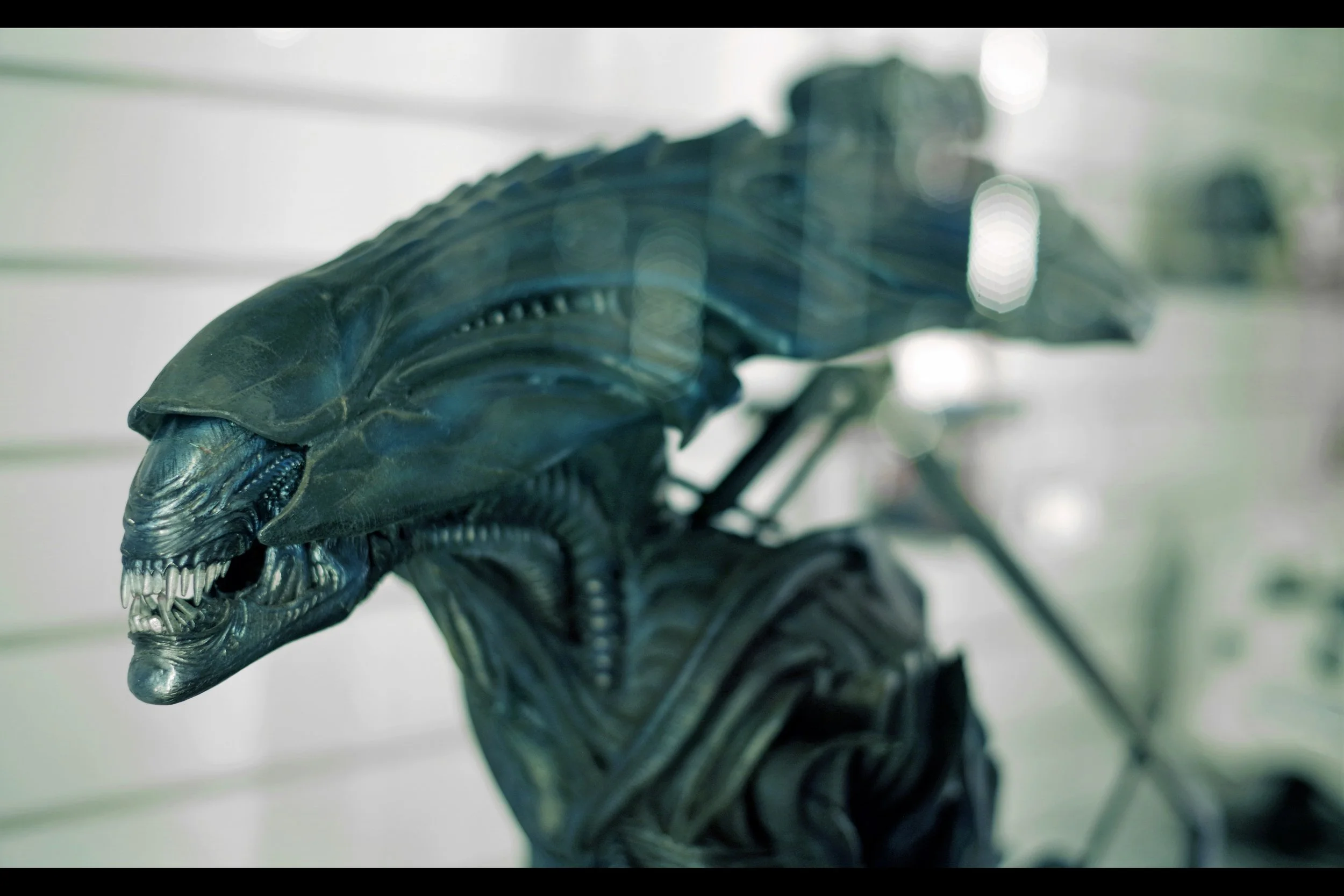 "She called me a BITCH and she didn't even apologise..." Aliens vs Predator Queen Puppet. Starting bid: £10,000….. winning bid: £30,000
