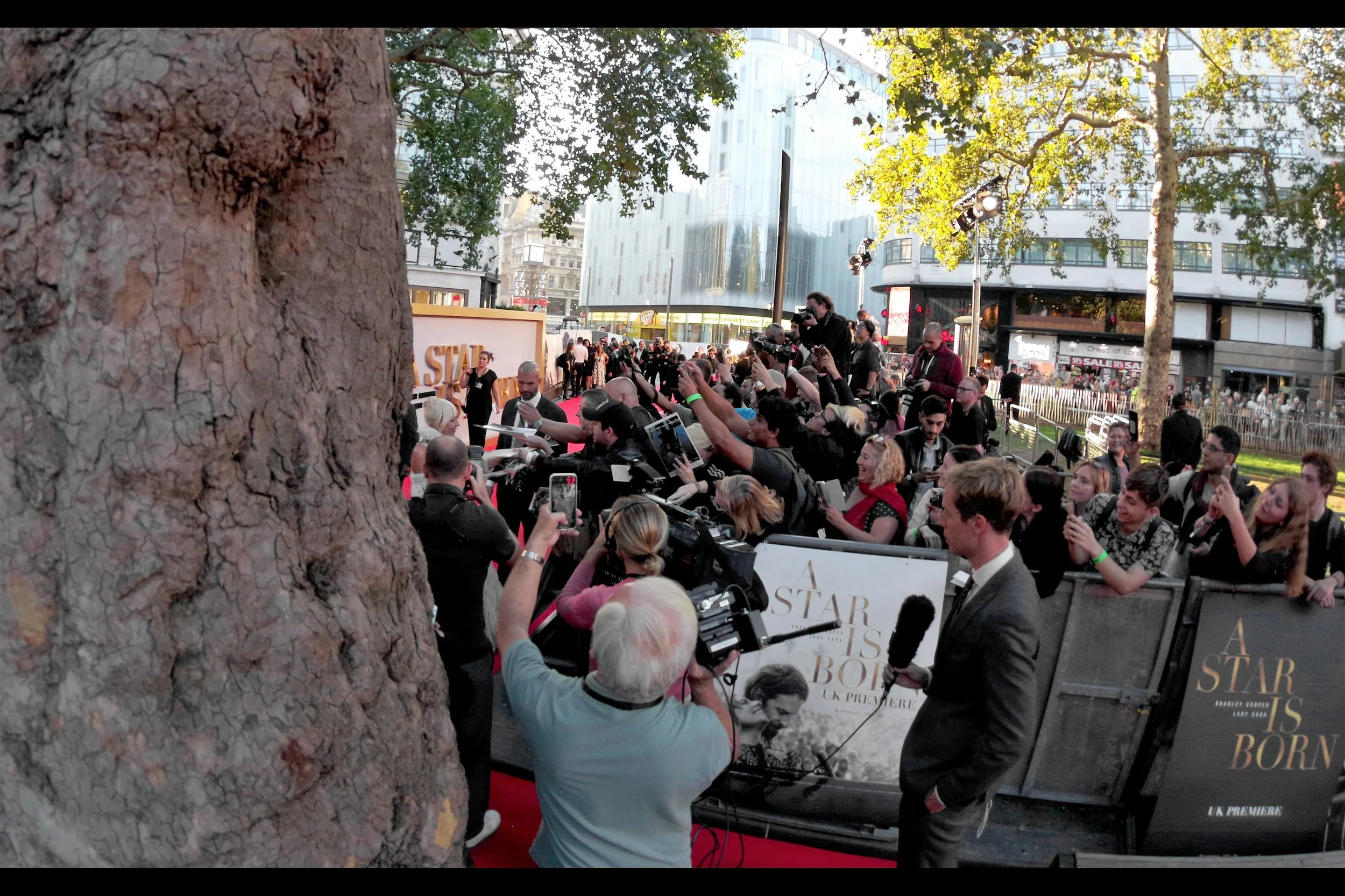 Now you might well ask why anyone with wristband #2 and a choice of where to stand would select a spot with a (freaking) TREE in front of them. And the answer is : safety. With nobody likely to sign where I stood (refer : tree) : I had a view to the posing board ahead, the dealer pen (also ahead), the pen to my side…. AND :