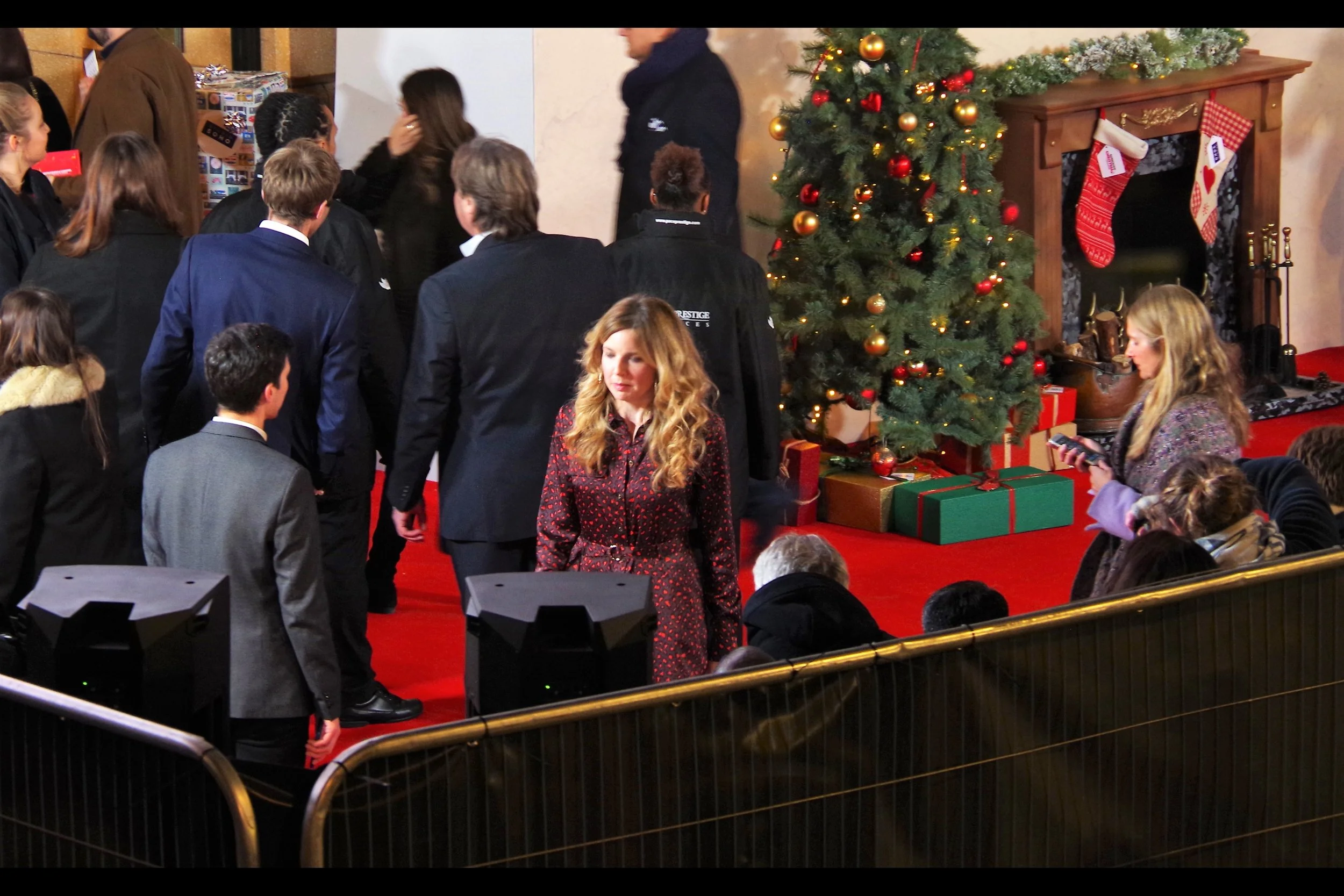 “We went to all the trouble of installing a fireplace for people to pose against, and yet it’s non-functional meaning that none of the scantily-clad red carpet posers will derive any relief from the cold. ….. and it sucks that nobody realises it was all part of my evil plan”.