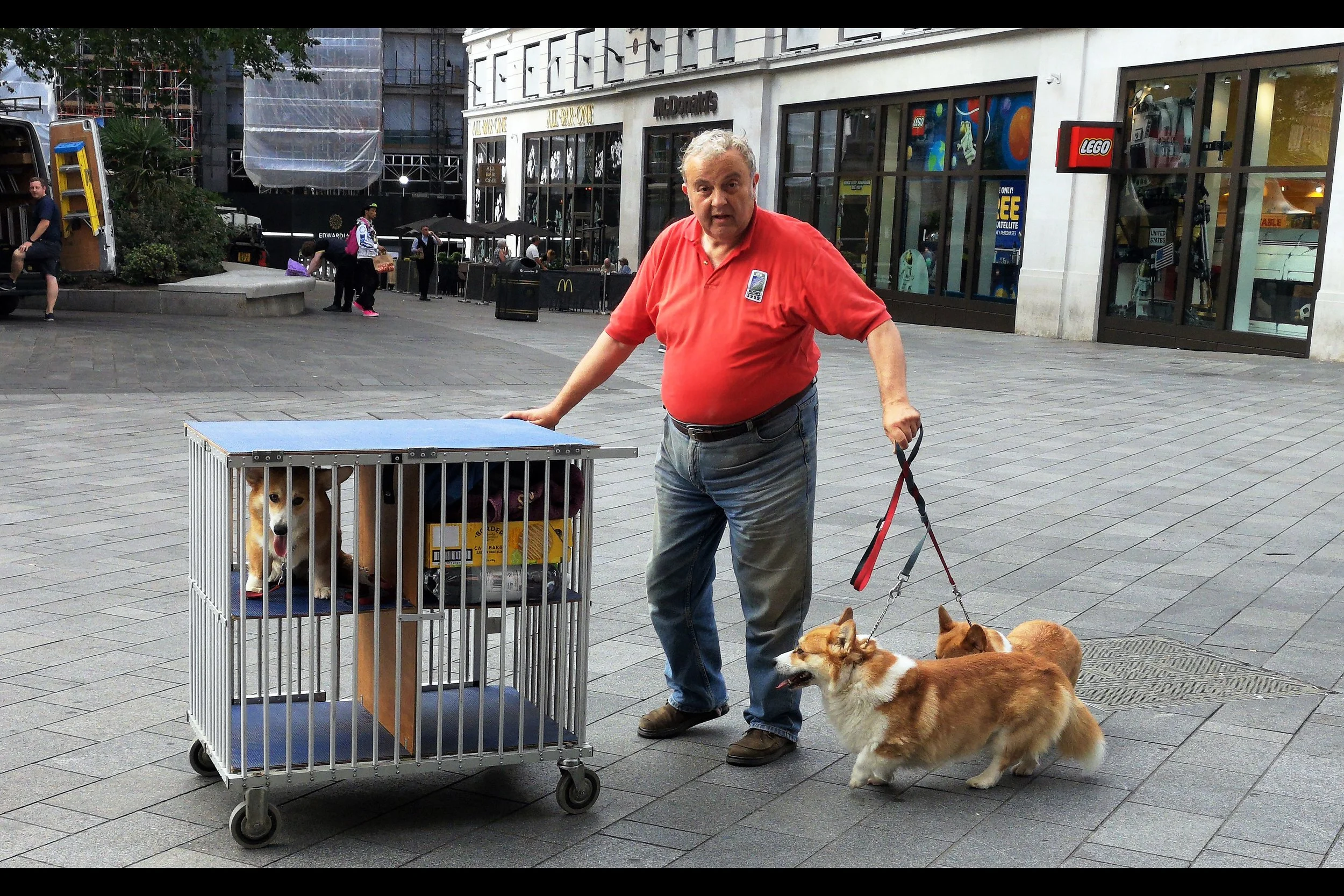 “I don’t want to talk about the one in the cage. Let’s just say he’s not “media trained” and leave it at that!” Great news - even if nobody from the actual cast (which includes local voice talent like Matt Lucas, Ray Winstone, Sherridan Smith, and Julie Walters) shows up, I’ve photographed some Corgis !!