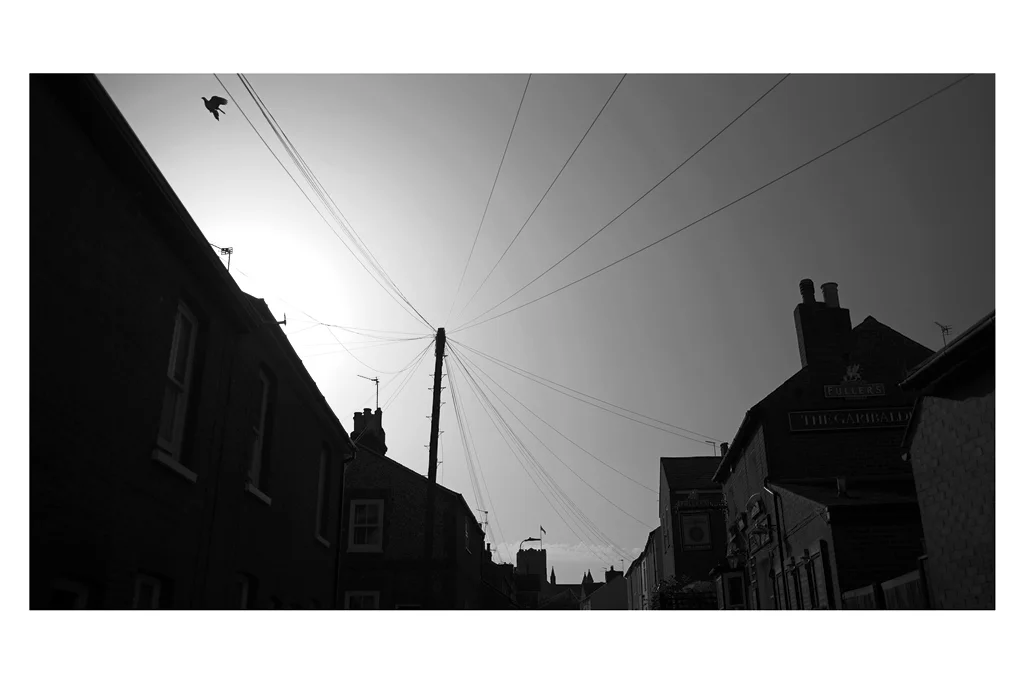 10. BIRDS . I knew I didn’t want to take photos in this category on Lake Verulam, though that decision meant I pretty much limited myself to pigeons. But in terms of the location on the streets of St Albans - radial power lines and the Abbey in the background… I’m pretty happy with that. On Reflection : I had two alternates - one with a different set of buildings and a ‘cuter’ bird (non-pigeon) on a line, and one with a better row of buildings albeit with no abbey in the background… not sure, but I still think this was the best option. And I don’t think going to The Lake like everyone would have helped unless I had a lot more time to take a unique photo.