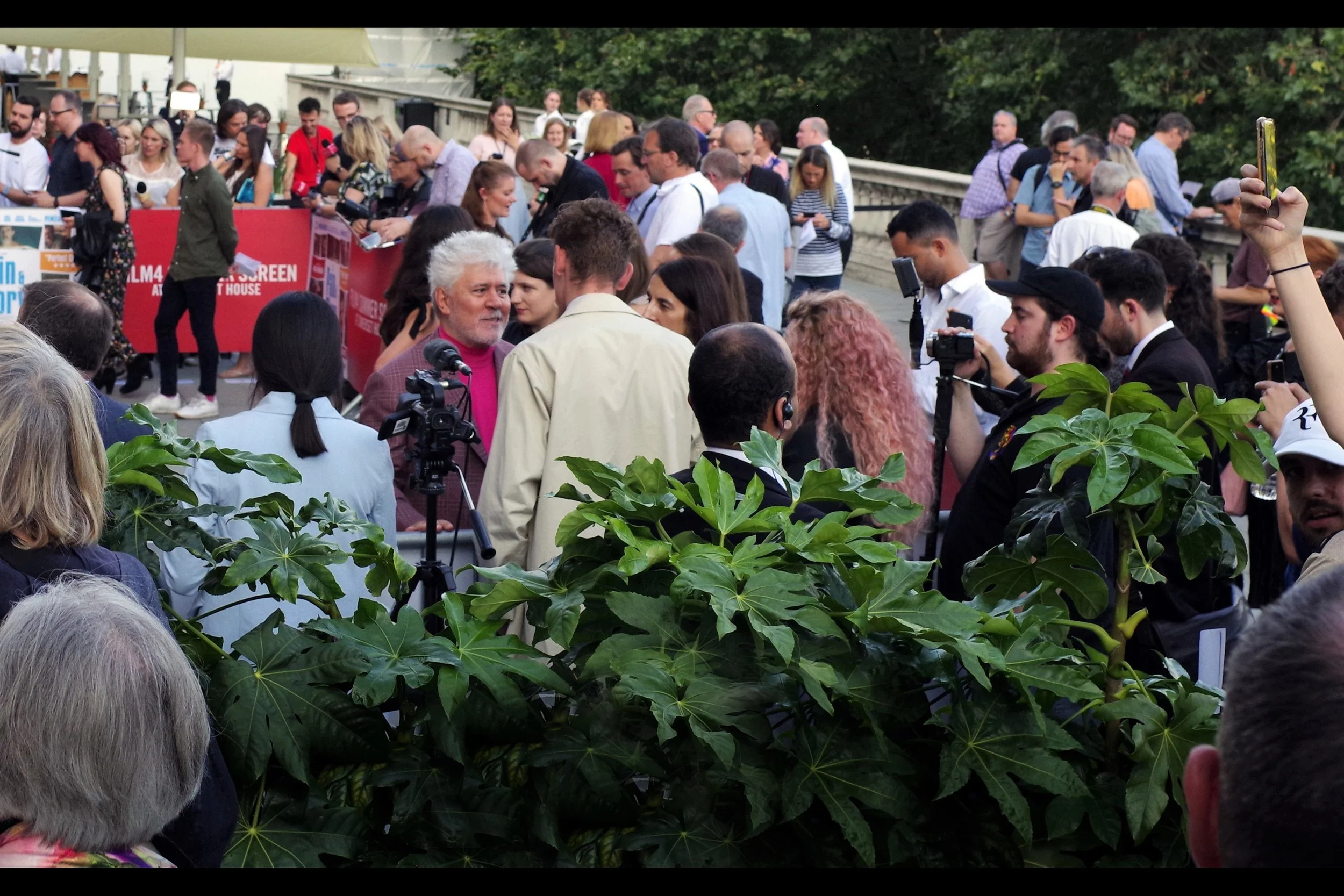 Well, it’s finally happened. I’ve now become someone who photographs people through bushes. I always kind of hoped it’d be for Scarlett Johansson, but no, turns out it’s for Pedro Almodovar. Then again, he HAS won an Oscar. And my feud with Scarlett Johansson has not yet ended.