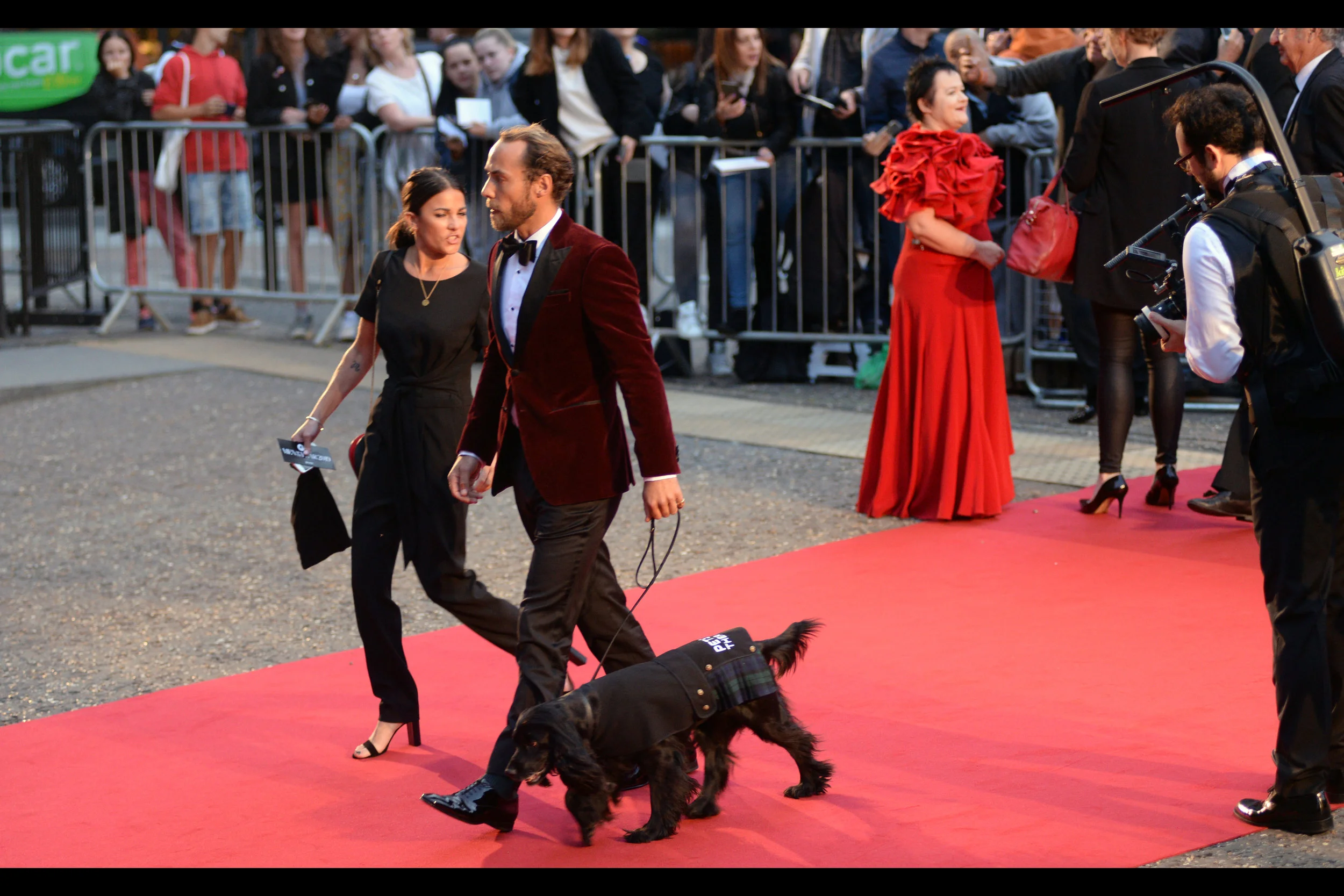“Put the kilt on the DOG, YOU SAID . It’ll cause hysteria on the red carpet, YOU SAID …” ”Well, the blurry guy with the clipboard and the ‘Boss’ t-shirt looked at us” ”He barely glanced - he was far too busy doing what he was doing…”