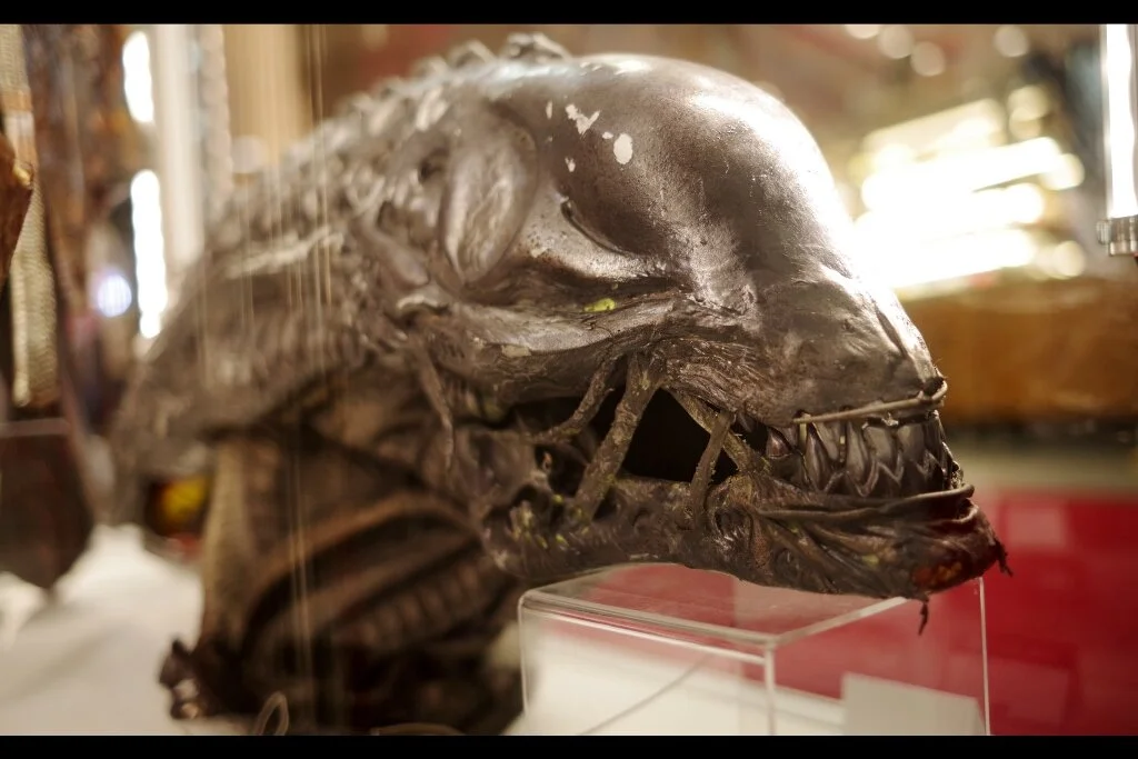 “Can you believe I once had a full head of hair??” Xenomorph head from Aliens vs Predator : Requiem . Estimate: £3,000 - 5,000 (winning bid : £3,690)