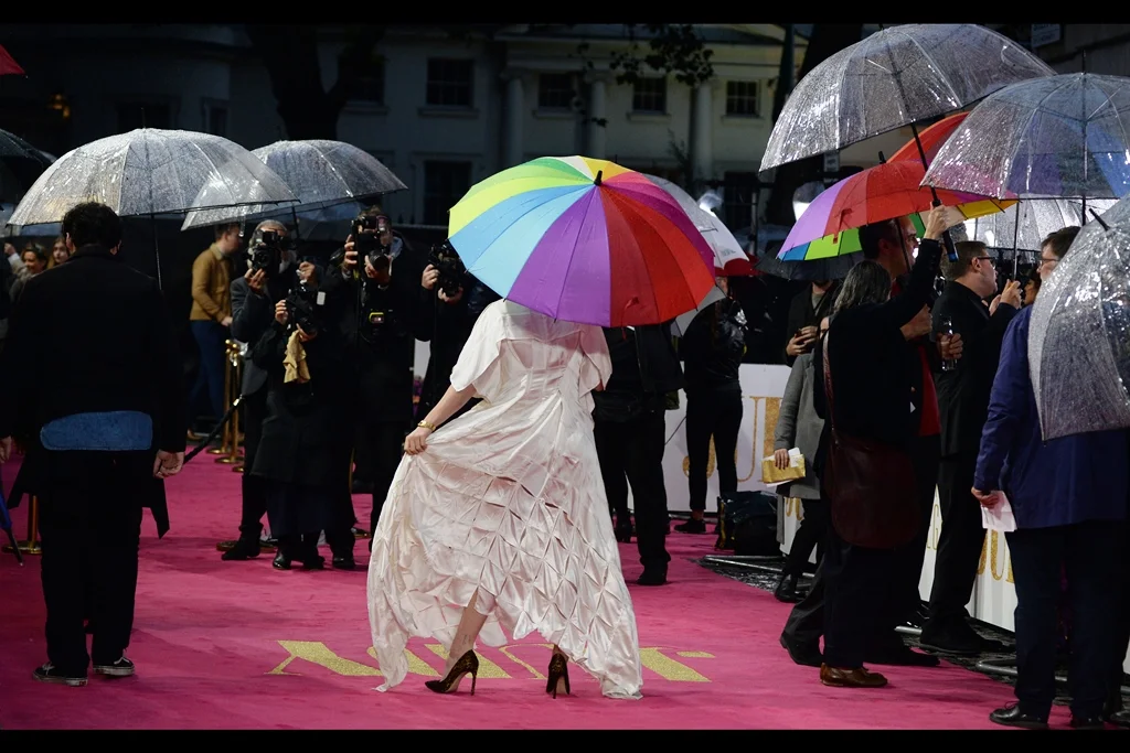“if you had any respect for fashion and this amazing dress, you’d insist that your editors push politics and brexit off tomorrow’s front page and instead mourn the damage that the rain has done to this masterpiece”