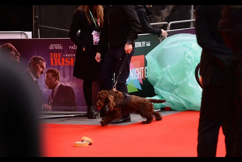 “It’s a suspicious pair of masking tapes. Look at them! Look at what they’re doing! Right there on the red carpet!”. Bag searches at this one were particularly thorough, as were the actions of sniffer dogs and metal detectors. I had four cameras on me… which is weird more than suspicious.