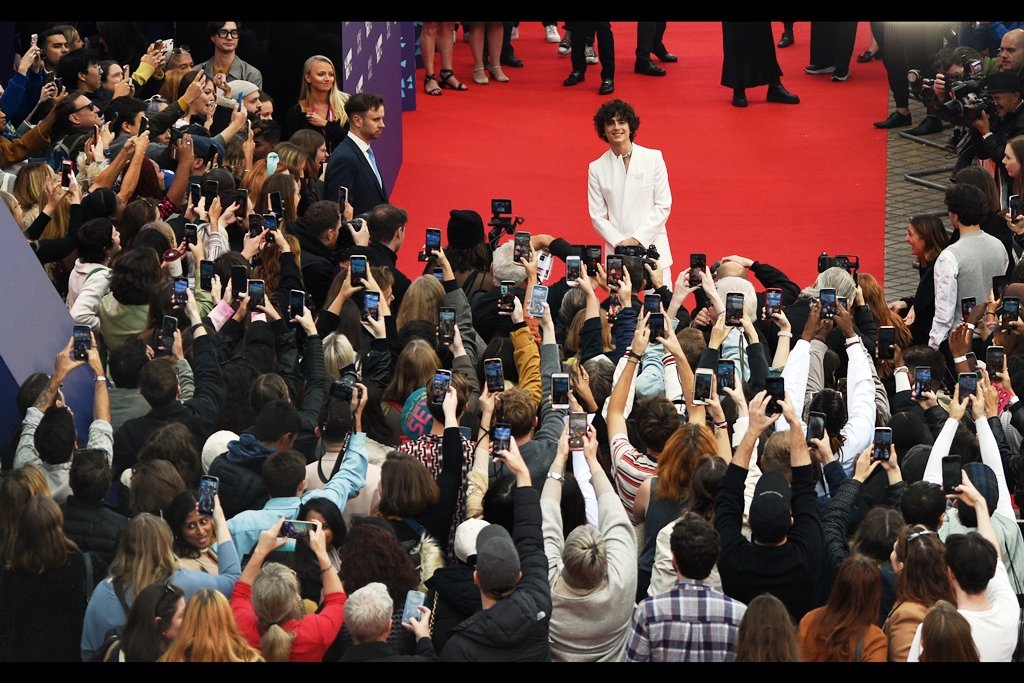 Crowd of Timothée Chalamet Fans Shut Down 'Bones and All' Premiere