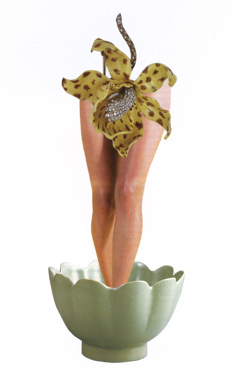 Self portrait (Birth), 2014