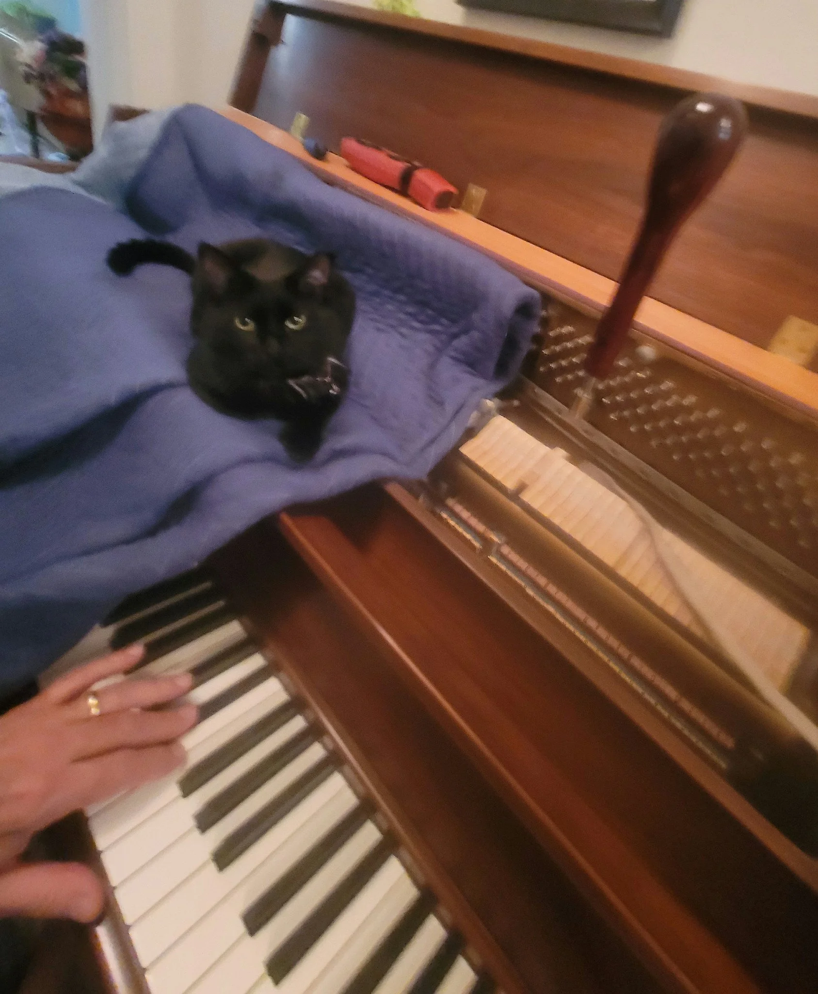 Anywhere I lay my blanket...