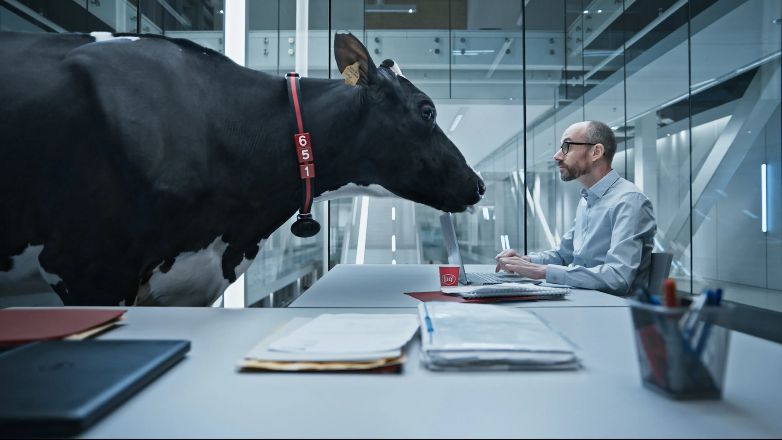Close with Cows.jpg