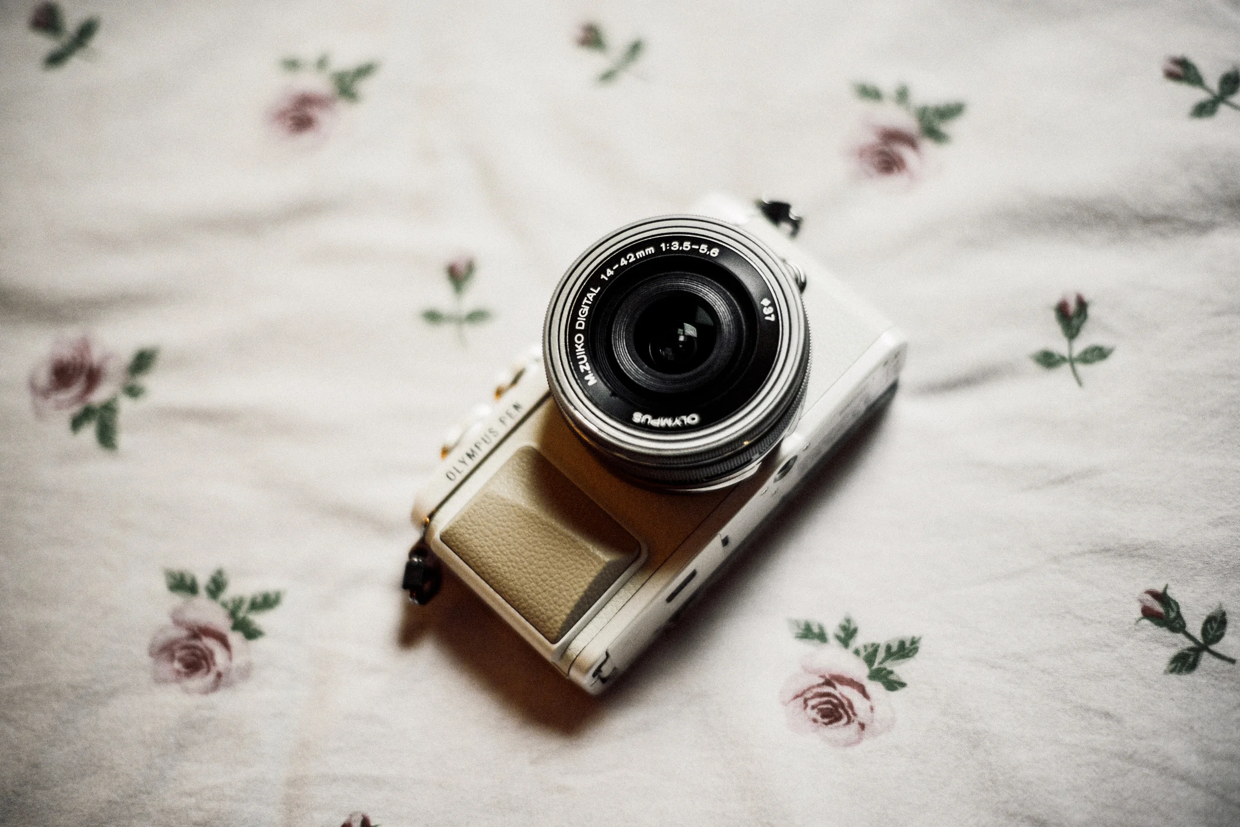 olympus pen generation EPL-7 camera fasion blogger review