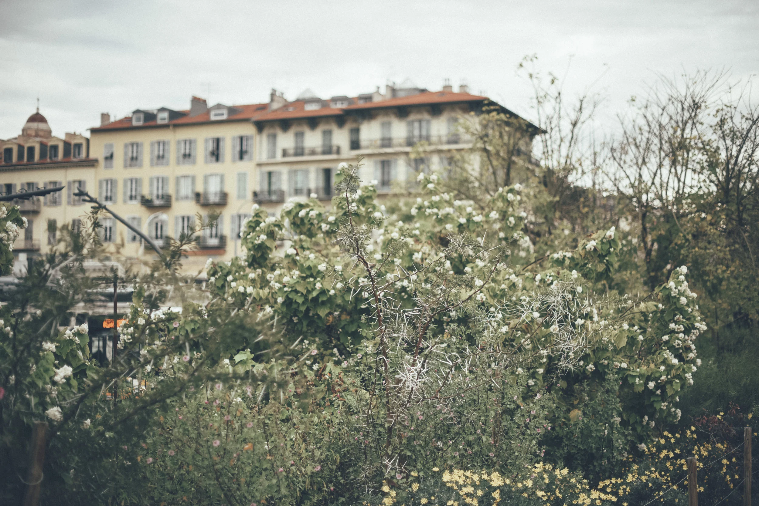COTE D AZUR6.jpg