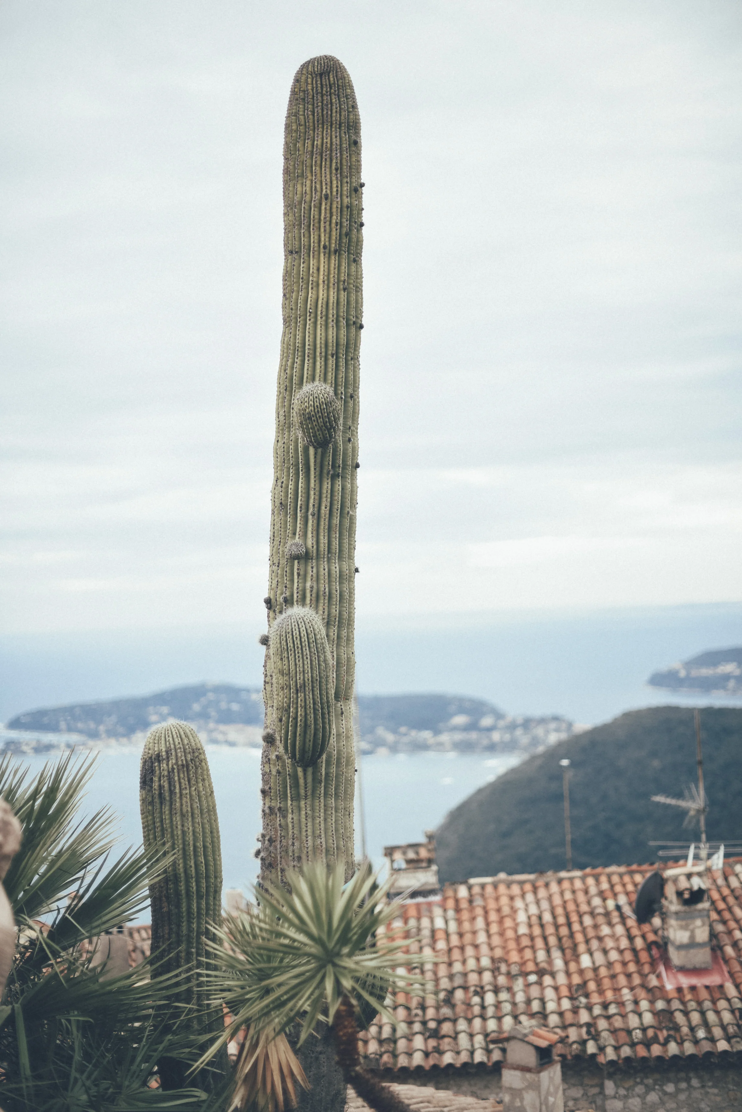 COTE D AZUR62.jpg