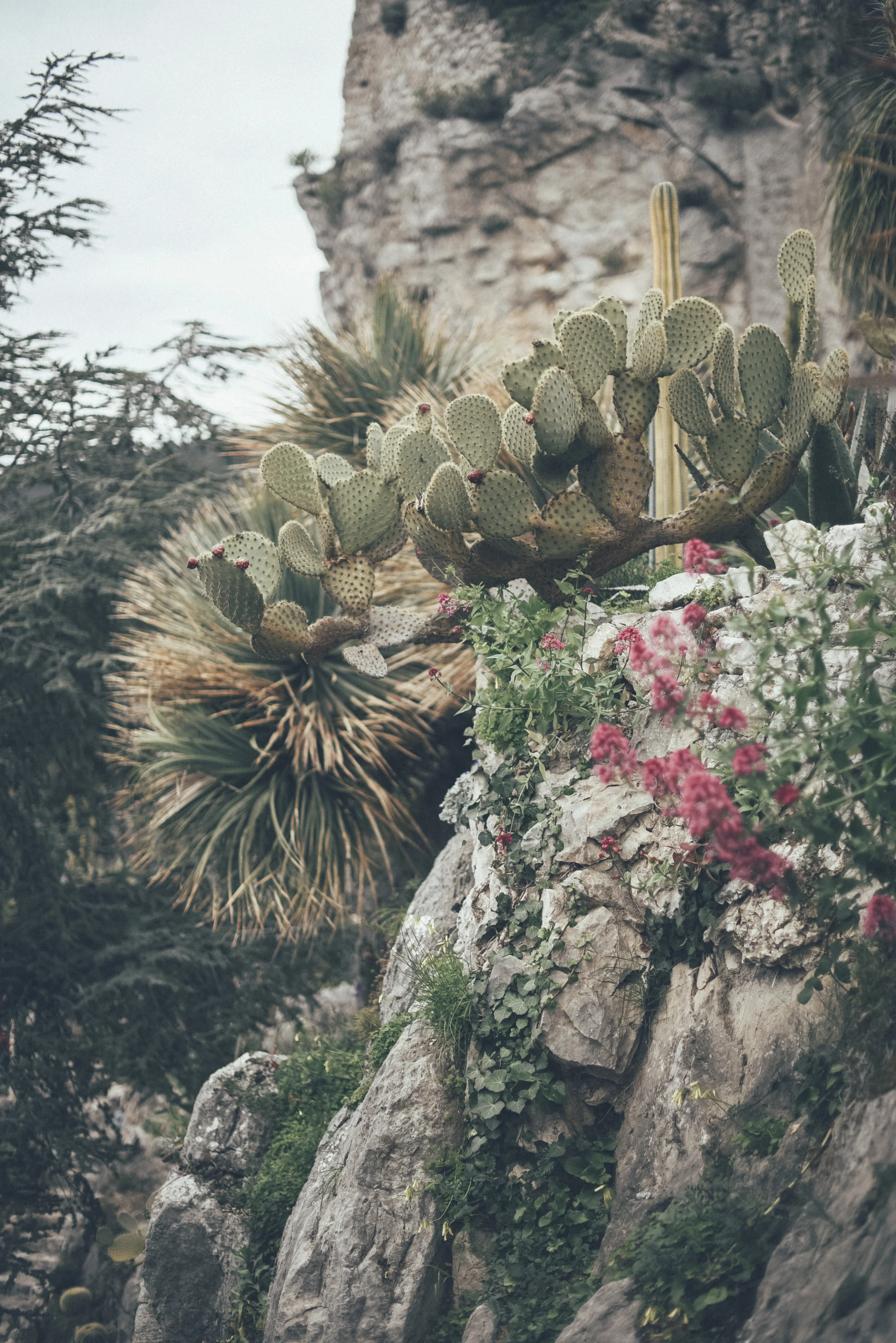 COTE D AZUR65.jpg