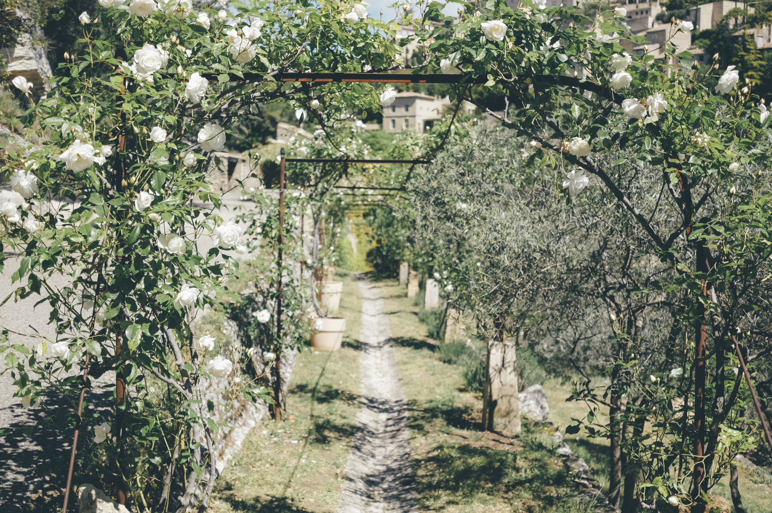 PROVENCE 73.jpg