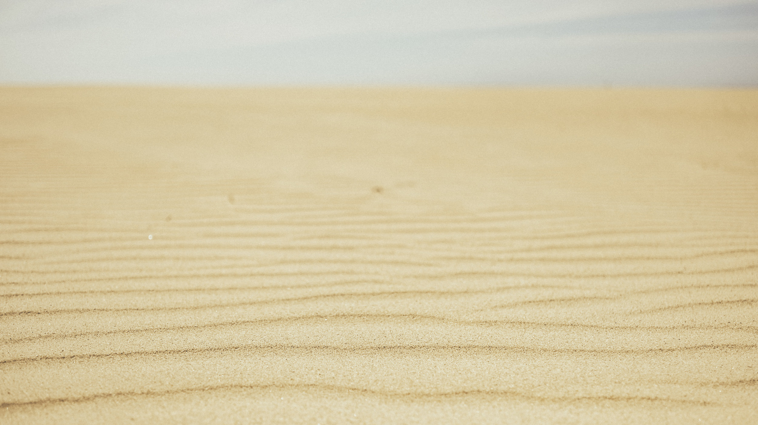 Wenduine DeHaan NorthSea Travel Blogger Tips49.jpg
