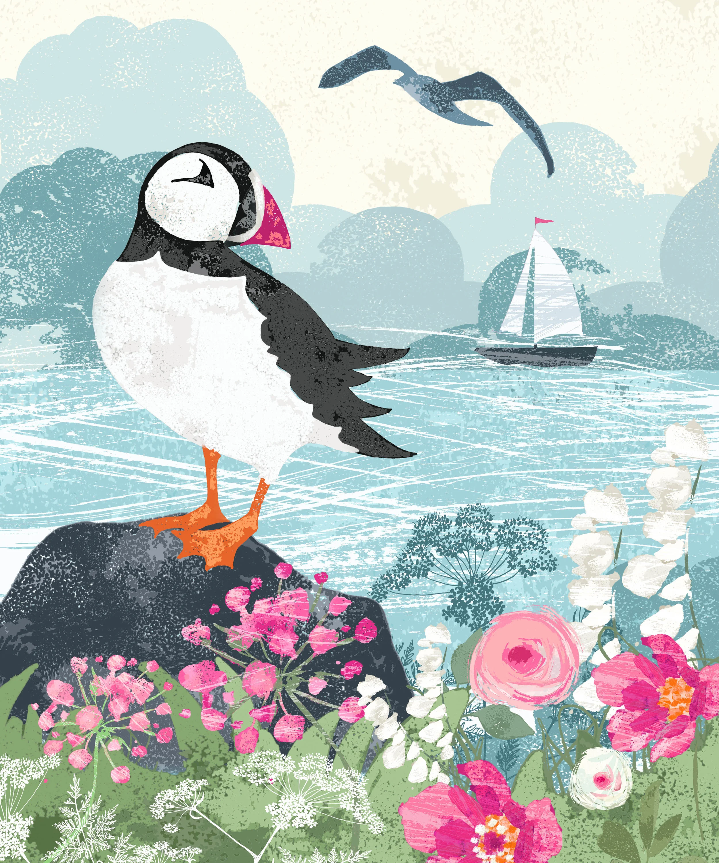 'Puffin & The Yacht'