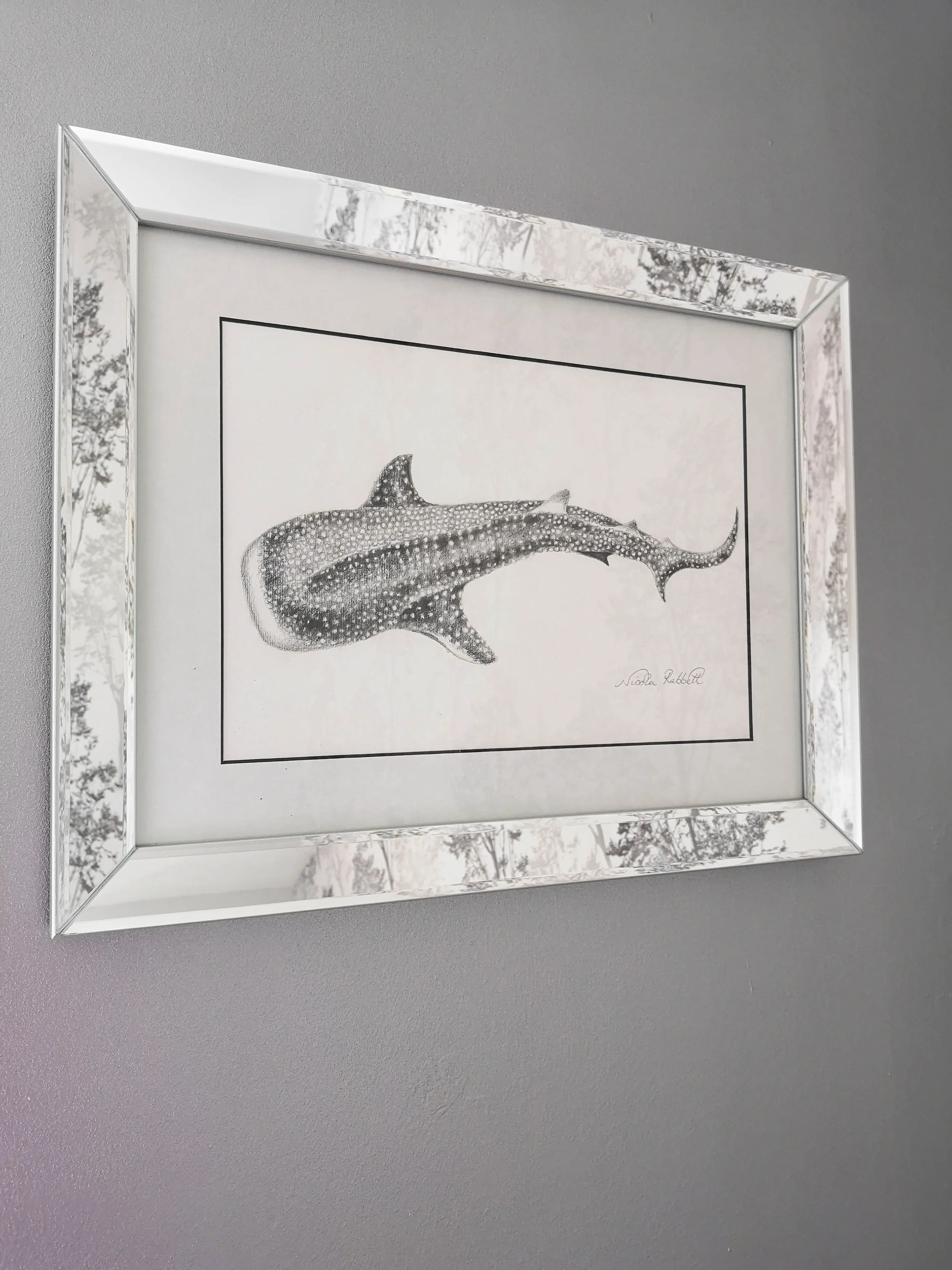 Whale Shark in Frame.jpg