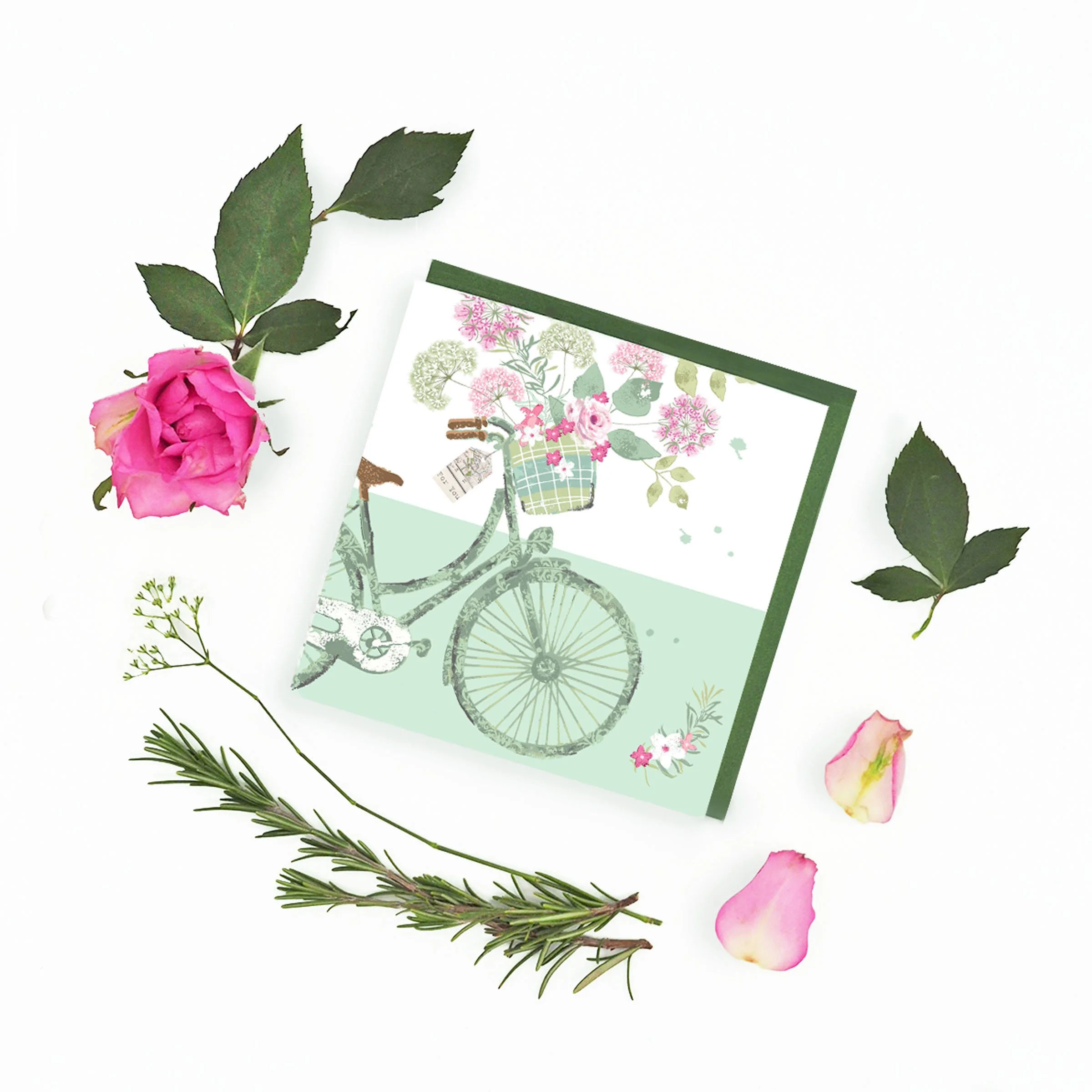 Spring Bicicle on white background.jpg