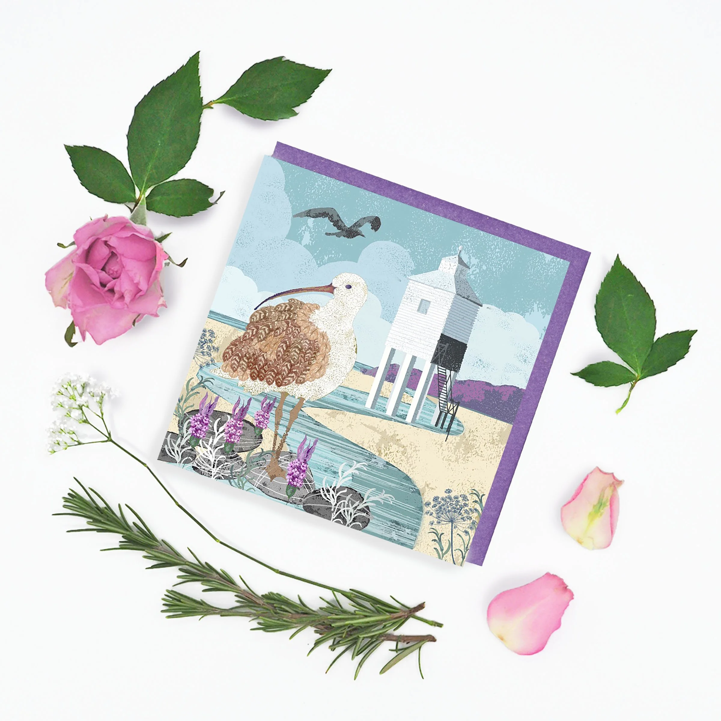 The Curlews Summer on white background- and blue envelope product photography psd.jpg