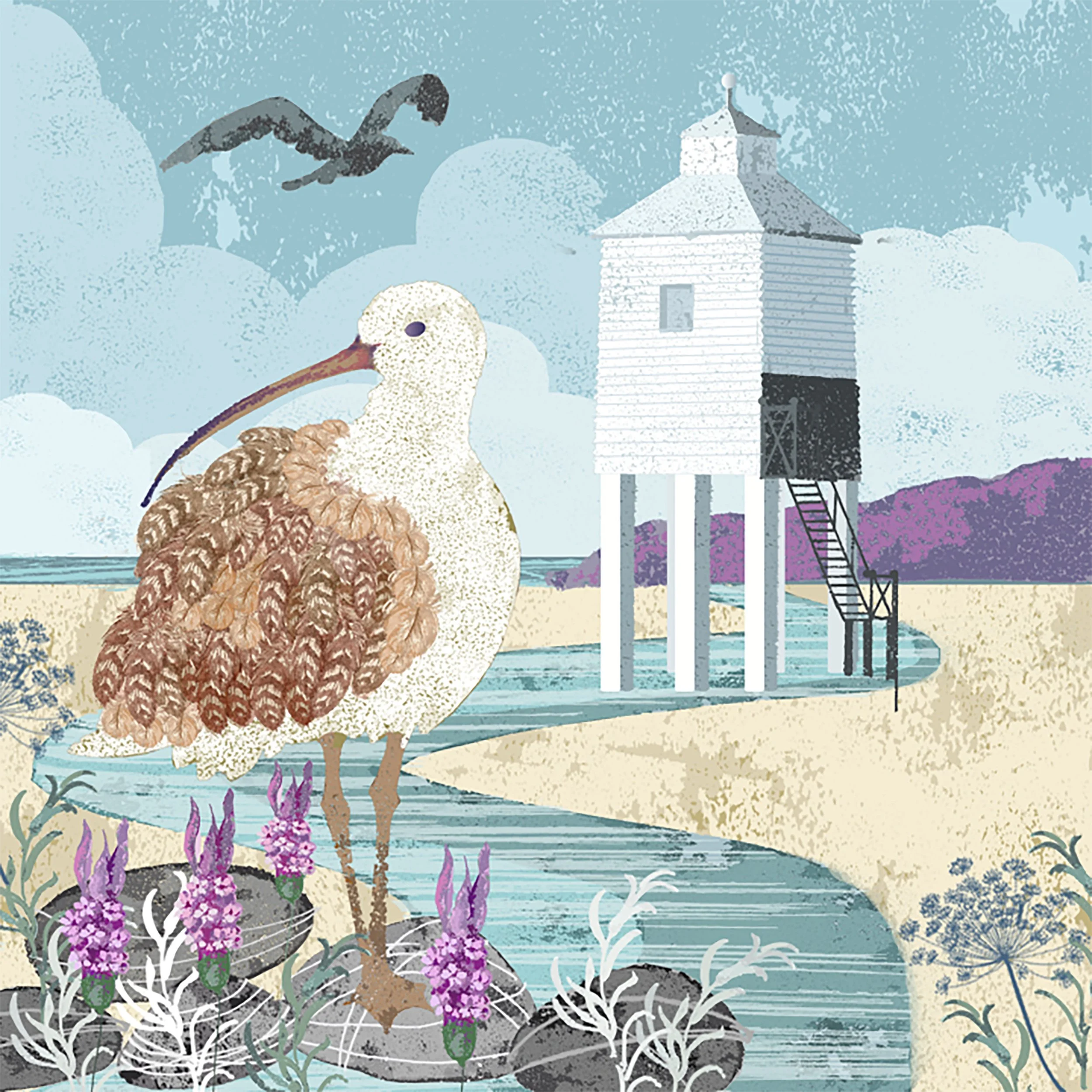 The Curlews Summer hi res.jpg