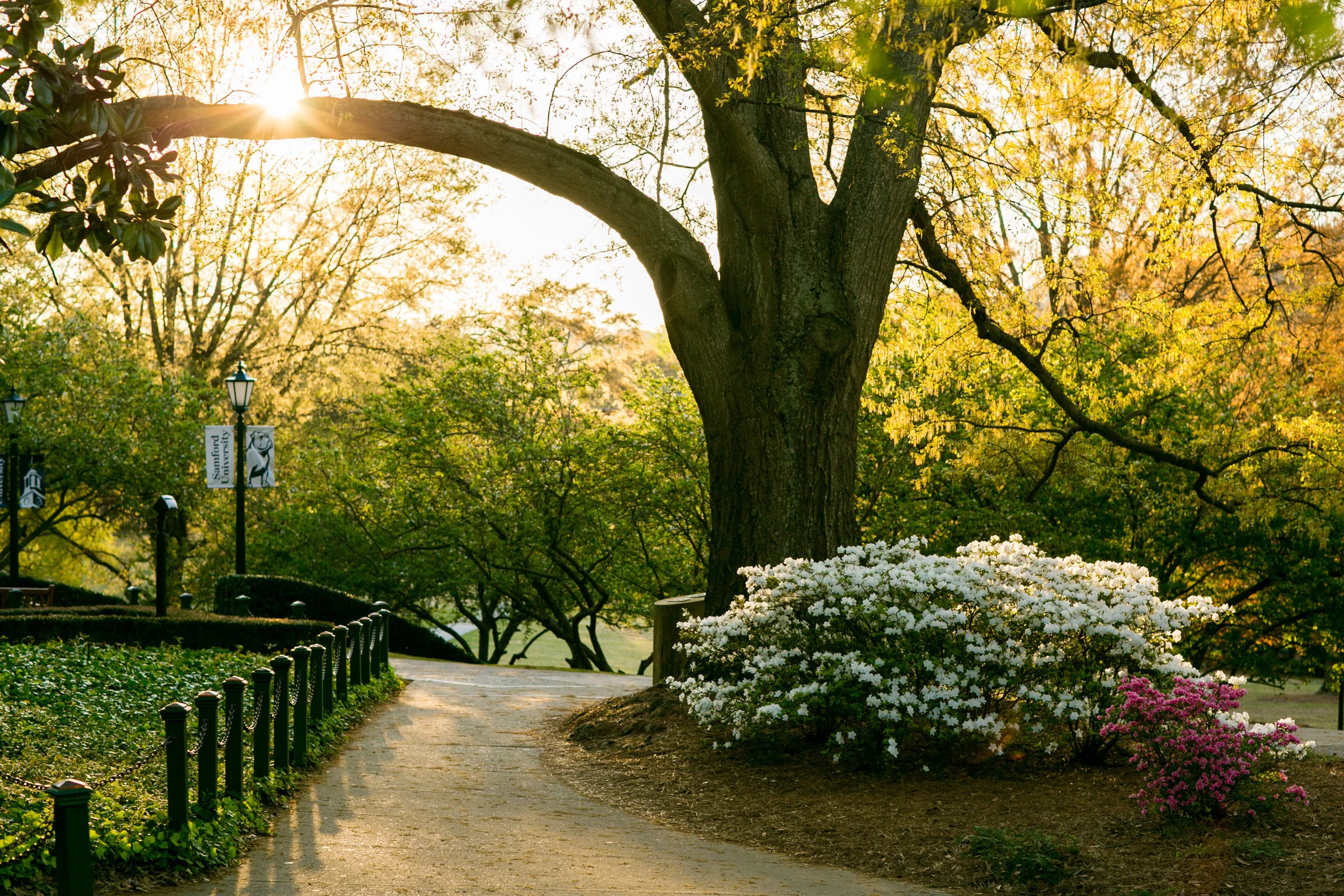 Campus Beauty-0106.jpg