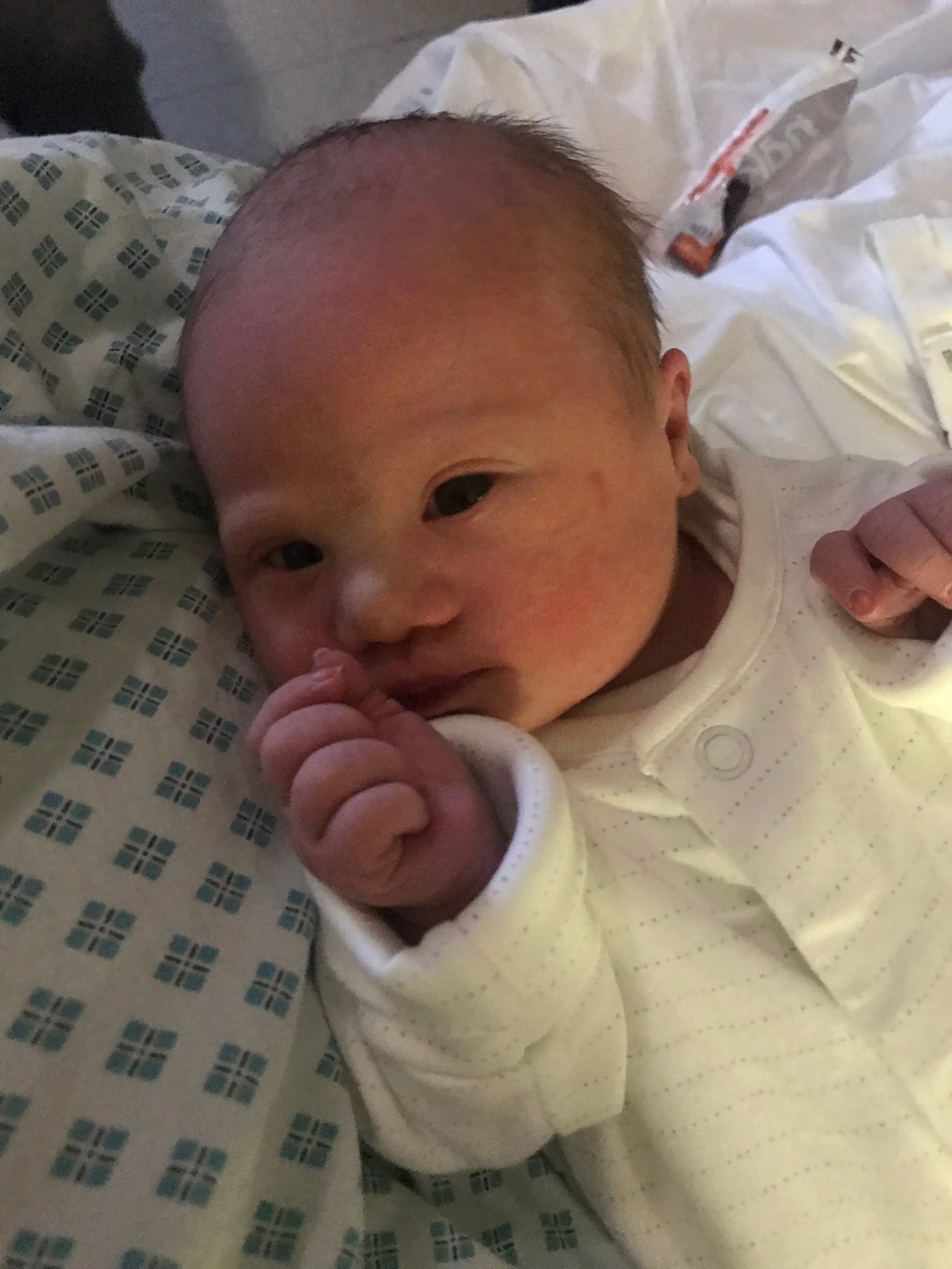 Polly Blossom just 3 hours old