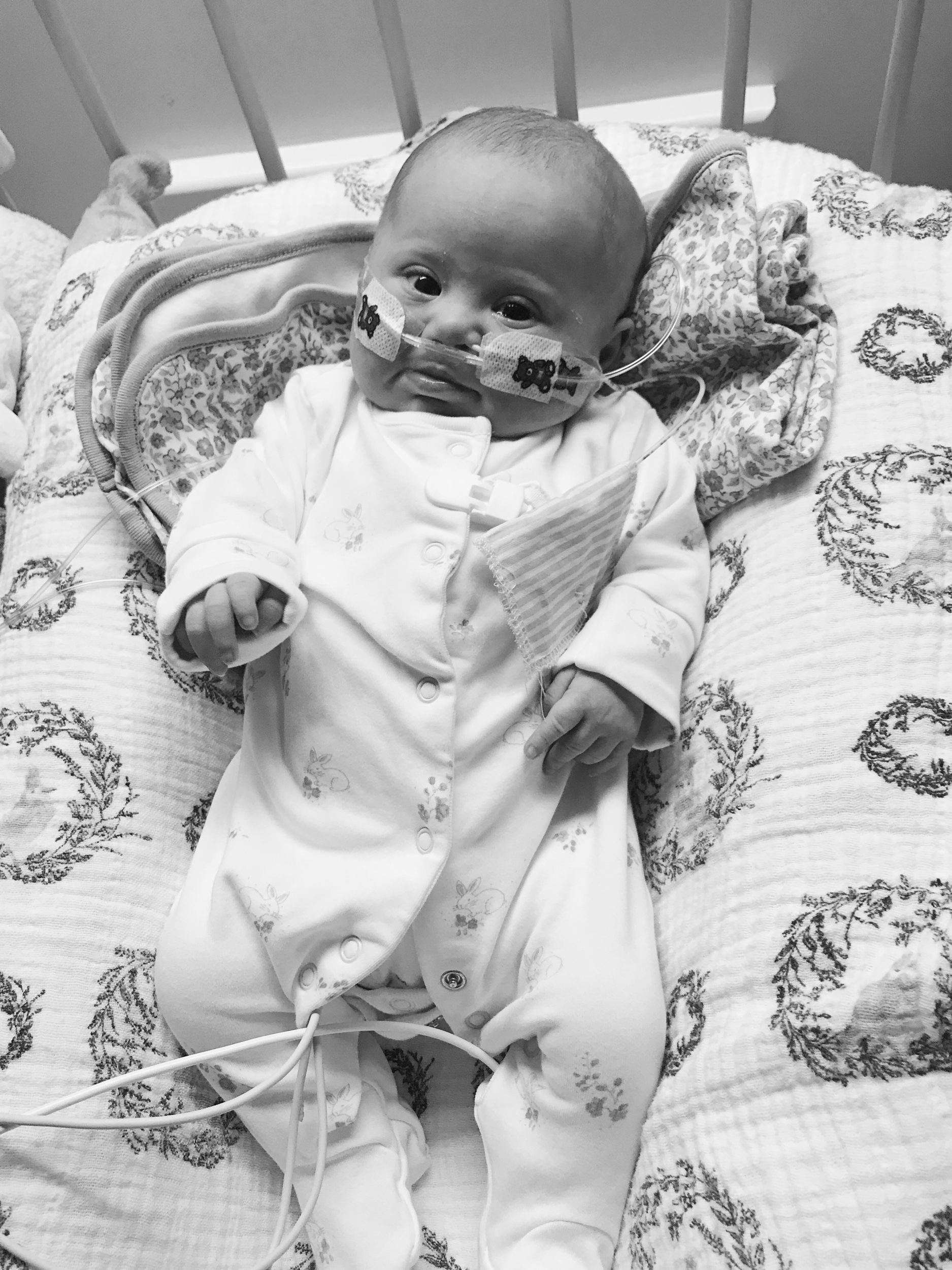 First night back in the local hospital with Polly, she looks pretty happy still