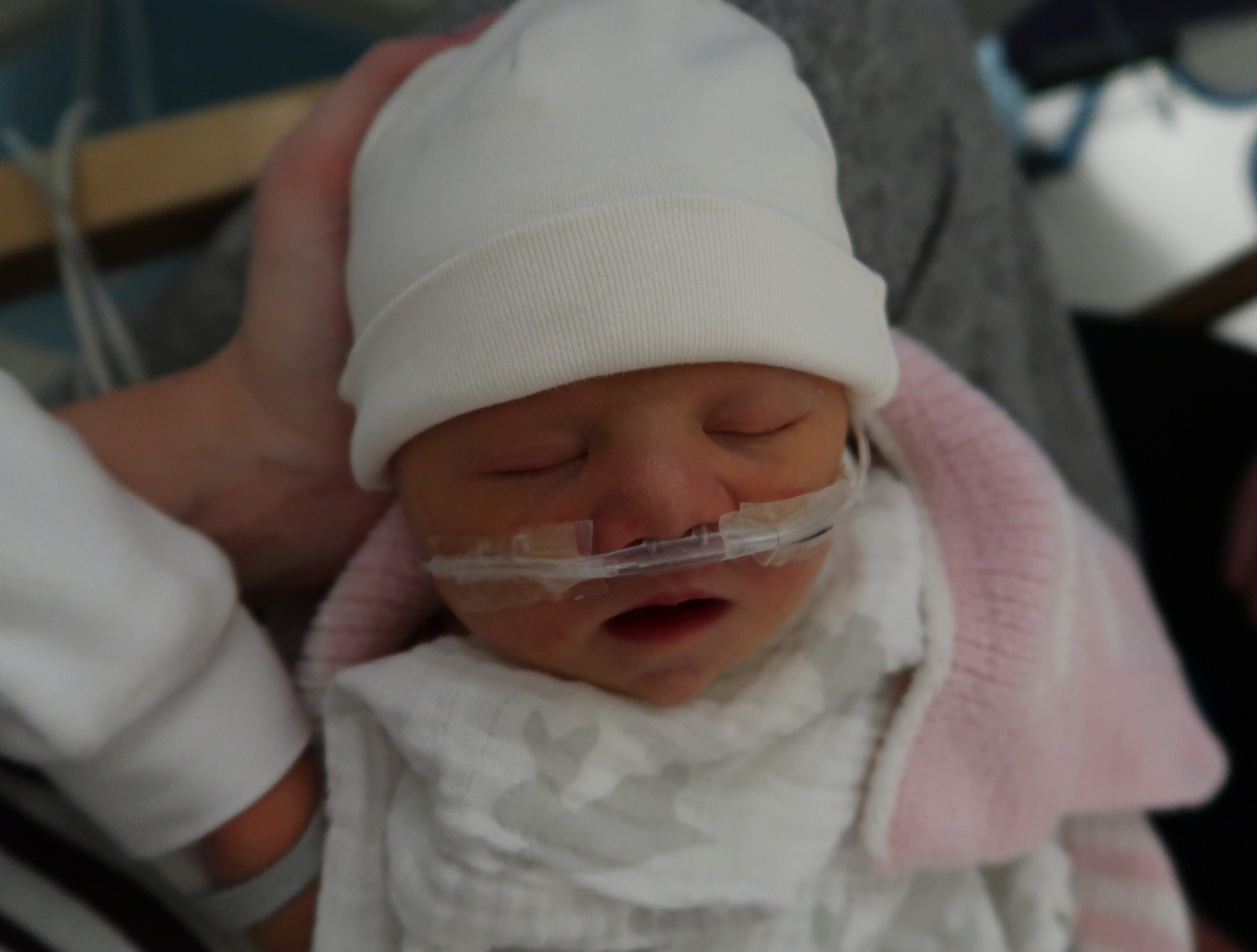 Polly at 1 day old - she didn’t have a name until she was 4 days new