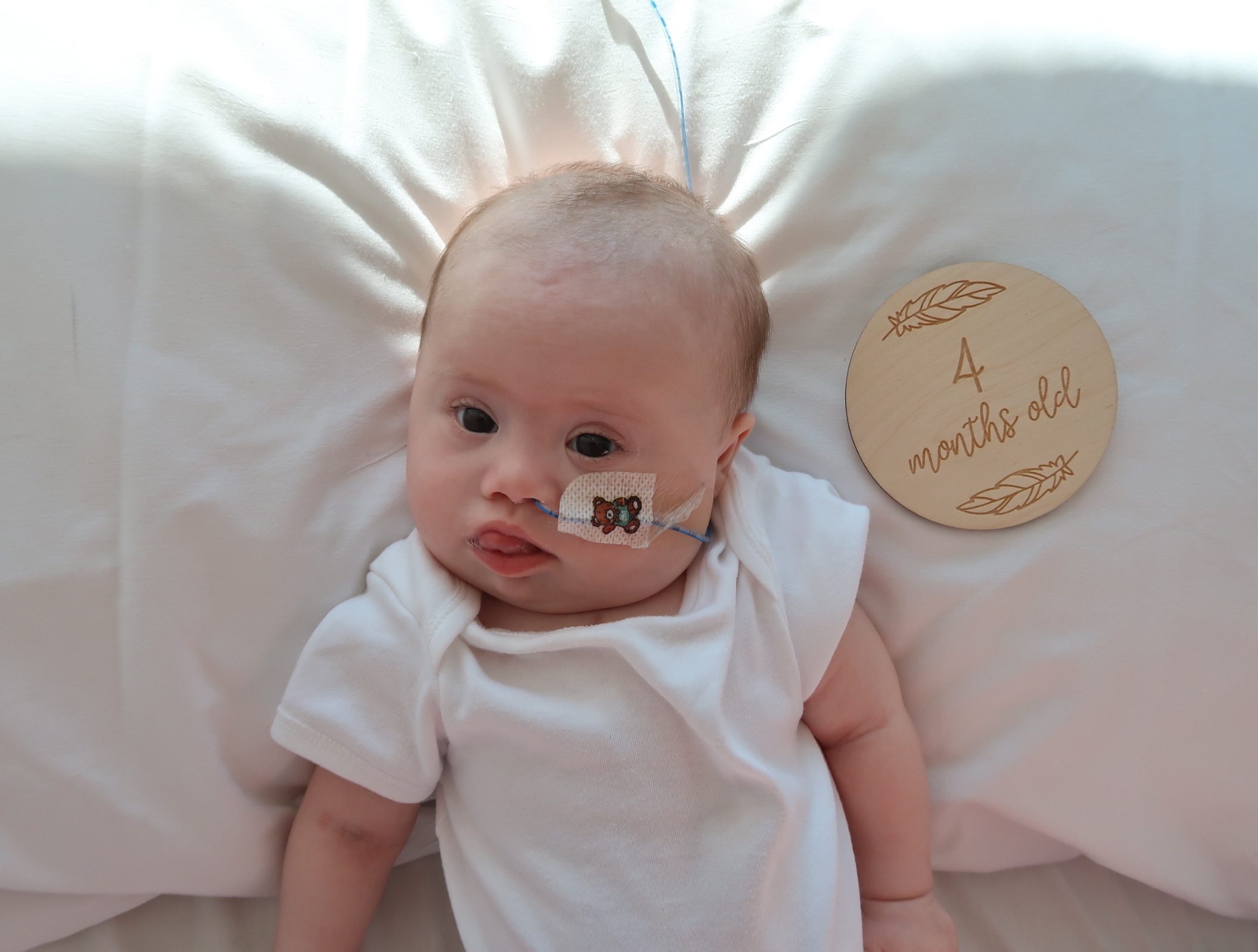 When Polly wasn’t attached to anything but a monitor and I was able to take her off to walk her about, I took some photos of her in my bed which was in her room by the window.