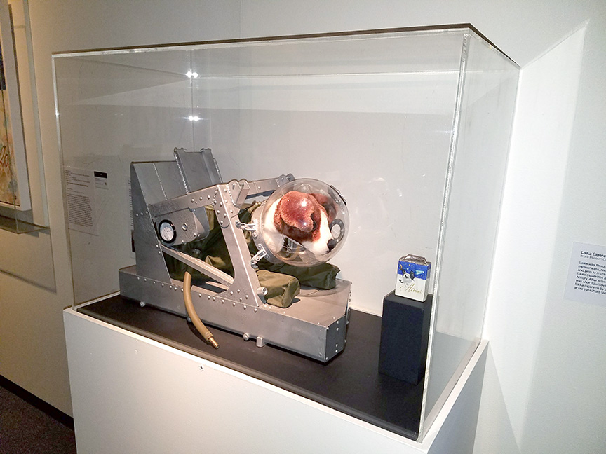 DogSpaceSuit_FinalFrontierDesign_DisplayCase.jpg